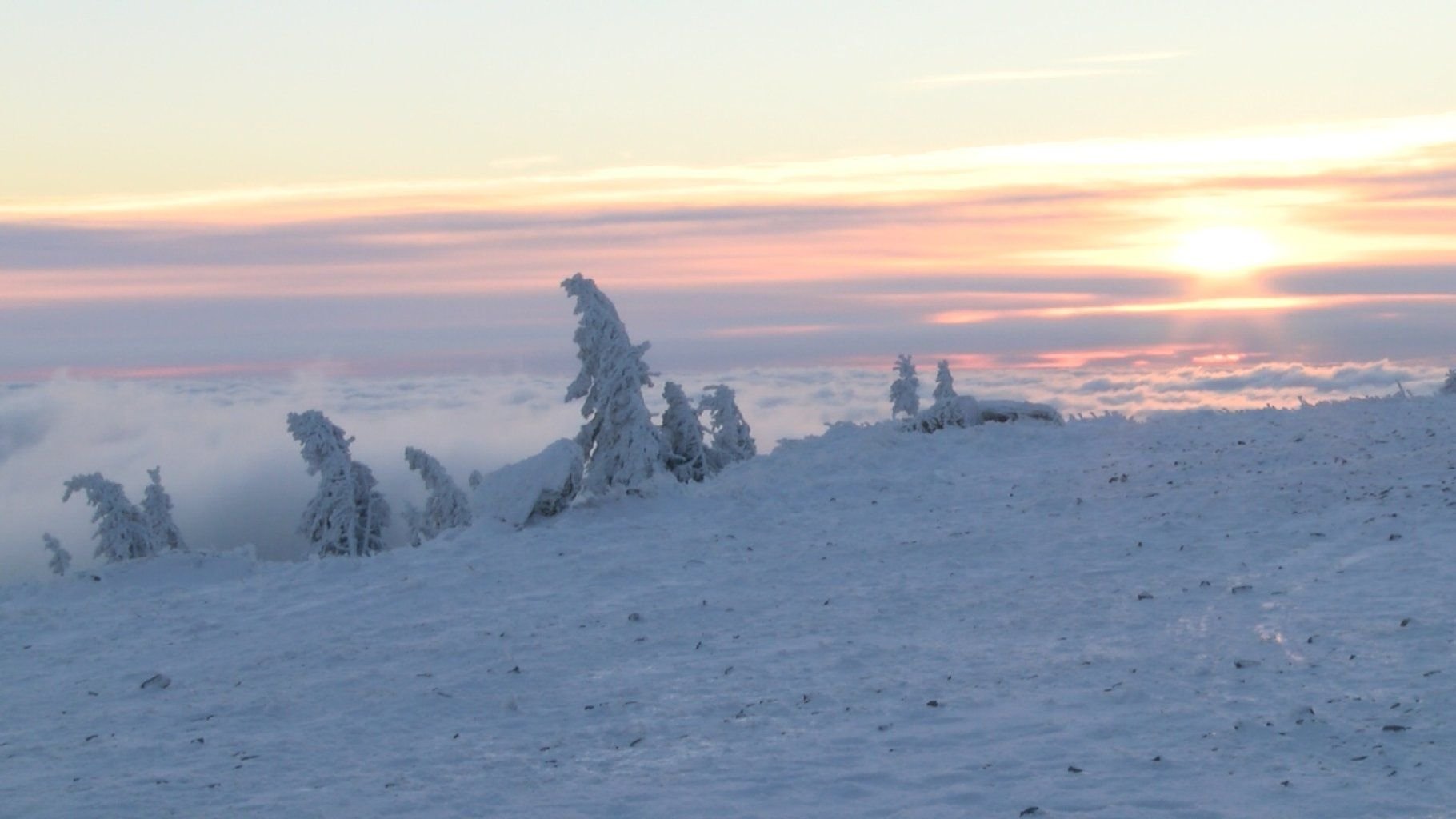Auf dem Brocken herrschten am Sonntagmorgen eisige Minus 15 Grad Celsius.