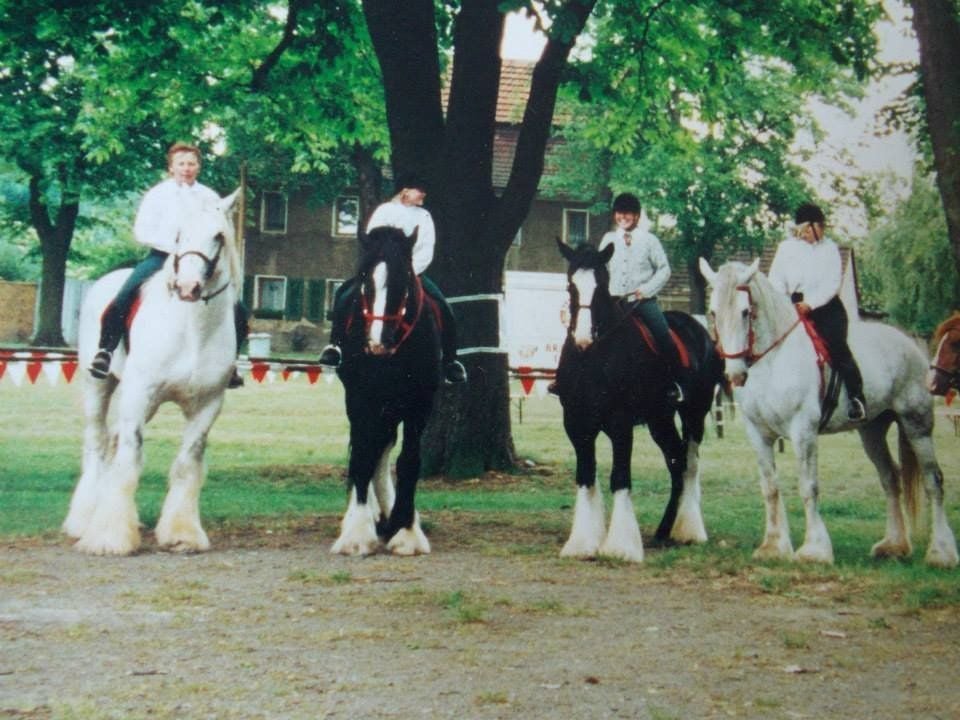 Das Glück der Erde: Janine Haubenreißer berichtet, wo die größte Pferderasse der Welt, die Shire Horses, in Sachsen-Anhalt ein neues Zuhause gefunden haben.