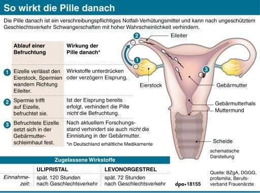 So wirkt die Pille danach