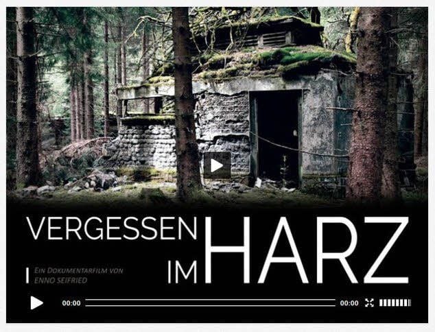Ein Trailer des Films ist schon jetzt im Internet.
