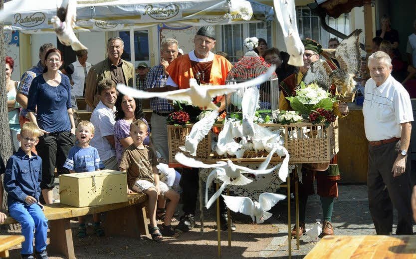 46 weiße Brieftauben stiegen nach der Übergabe des Lutherplatzes über dem kleinen Ort Reppichau in die Luft.