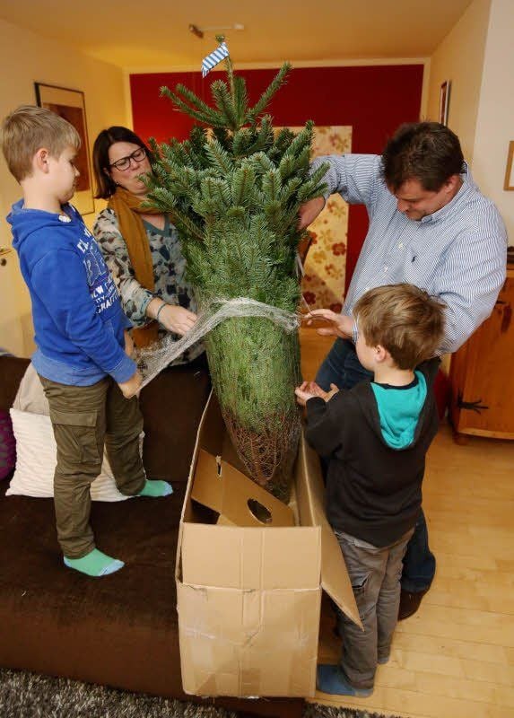 Bastian und Ben (l.) finden, dass der Baum ein bisschen größer sein könnte.