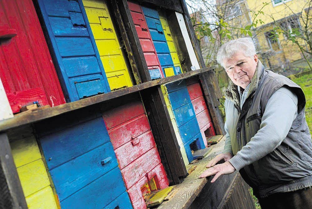 Franz Tellensky schaut regelmäßig bei seinen Bienen vorbei. In den letzten Tagen herrscht hierein lebhafter Betrieb - allerdings bei weitem nicht so intensiv wie im Sommer.
