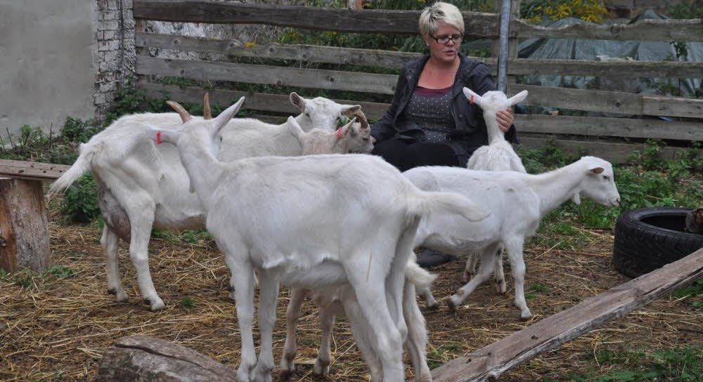 Bianca Nerenz vom Fläminger Ziegenhof Zahna beim Betreuen einiger Lämmer