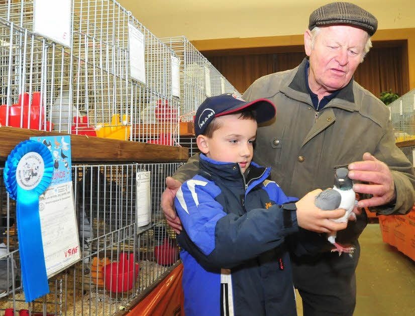 Hans Querengässer und Enkel Jonas Schur mit der erfolgreichen Deutschen Modenesertaube.