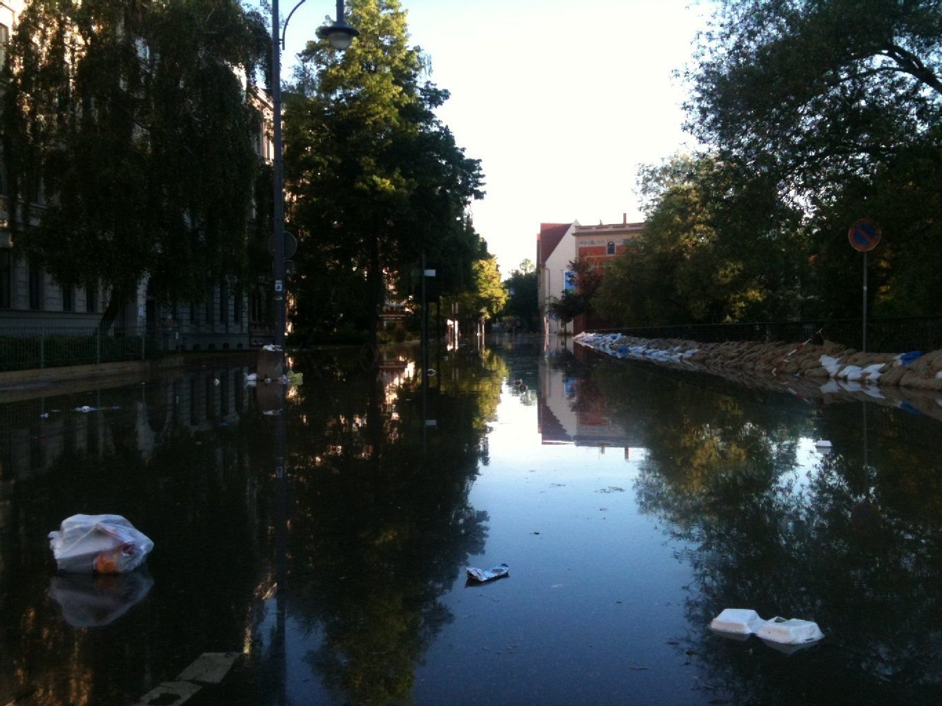 Das Hochwasser der Saale steht im Robert-Franz-Ring in Halle.