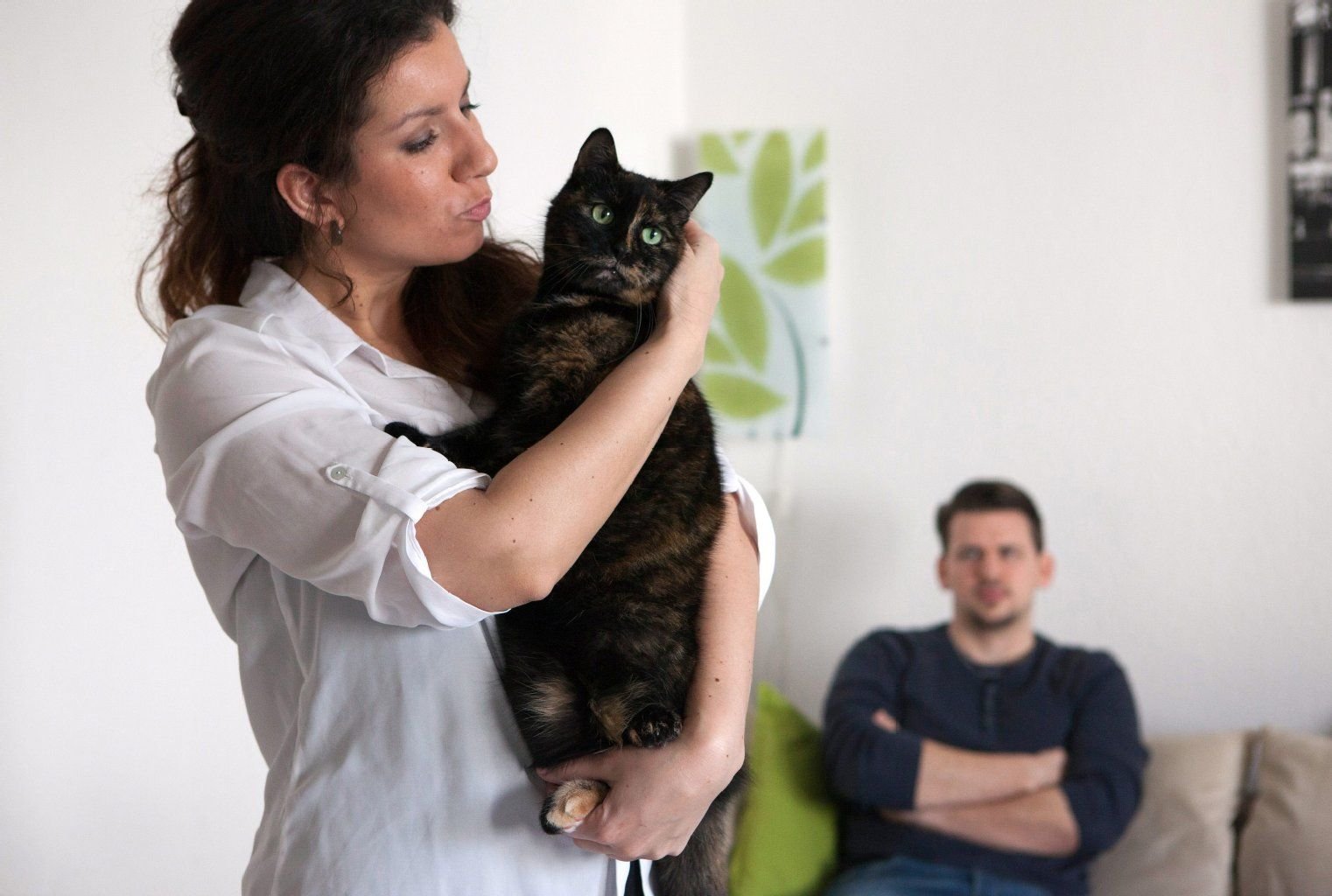 Stress ist vorprogrammiert, wenn die Katze mehr Aufmerksamkeit bekommt als der Partner.