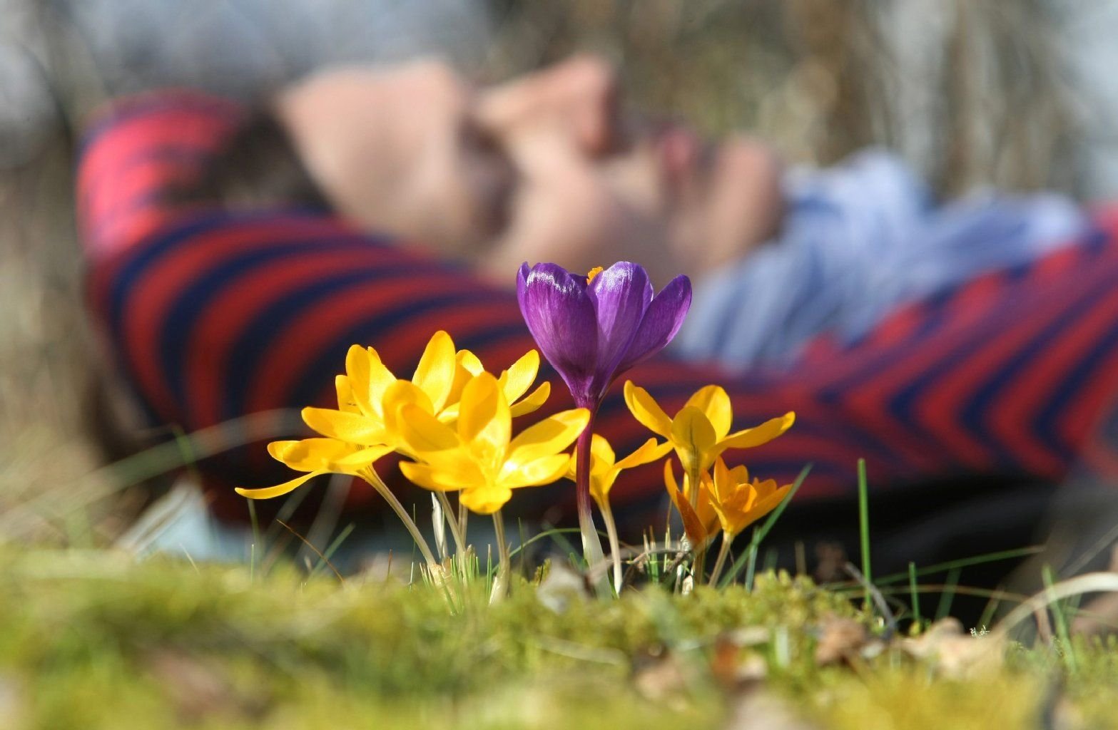 Aufatmen nach dem Schmuddelwetter am Wochenende: In dieser Woche kommt der Frühling zurück.