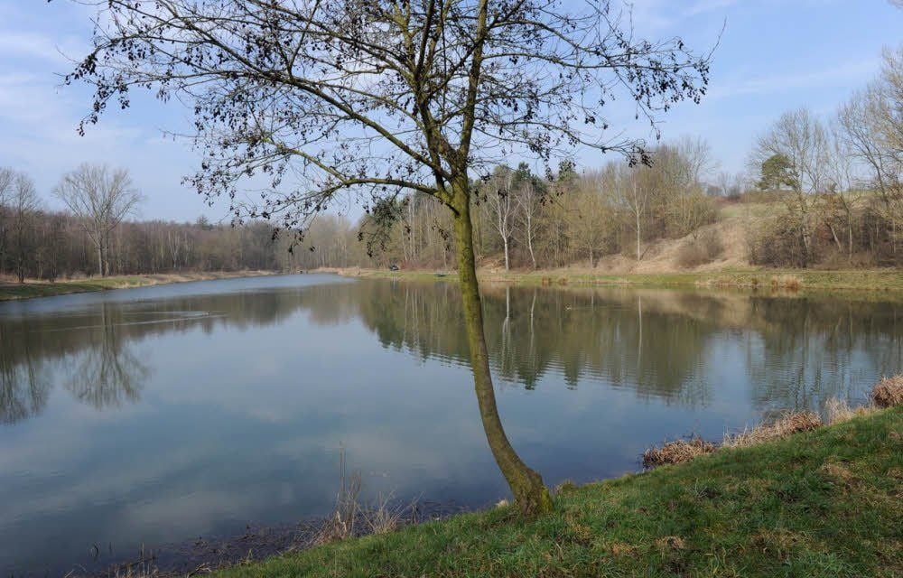 Malerisch und stadtnah gelegen: Der Ölgrundteich soll zu einem attraktiven Erholungsgebiet werden.