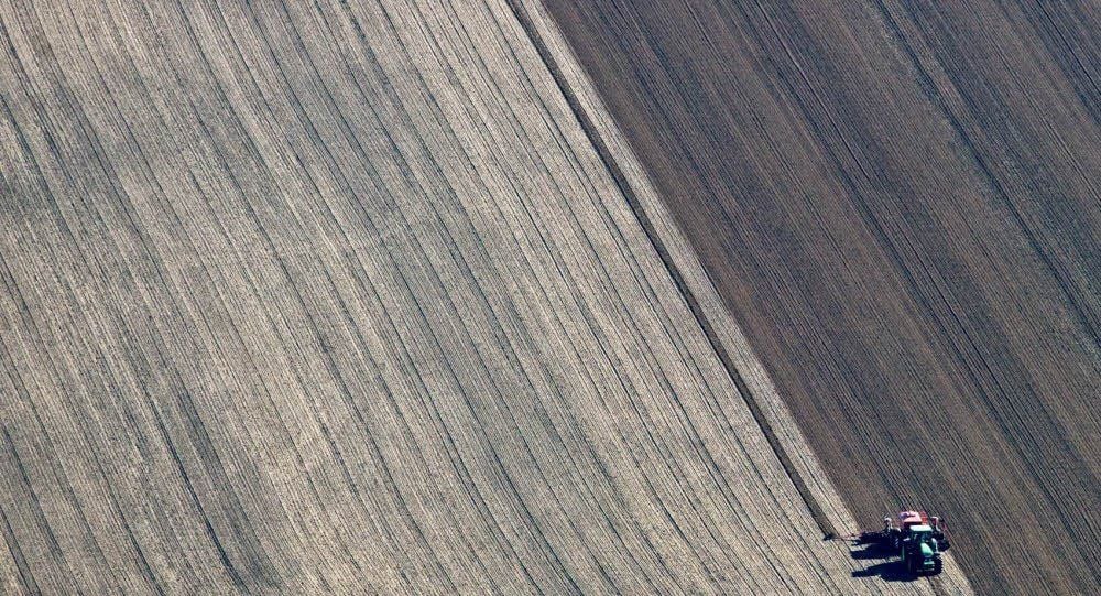 Durchschnittlich mussten Käufer in Sachsen-Anhalt 2014 für einen Hektar Acker 23 361 Euro an die bundeseigene BVVG zahlen.