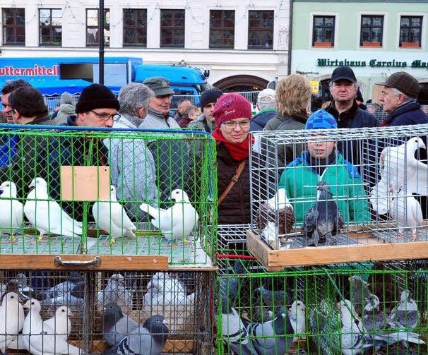 Gewimmel auf dem Markt