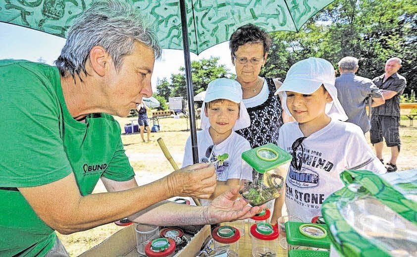 Juli 2013: Heidrun Heidecke von der BUND-Stiftung zeigt Jonas und Niklas sowie deren Oma Rosa Flatho aus Seegrehna Insekten in einem Becherlupenglas.