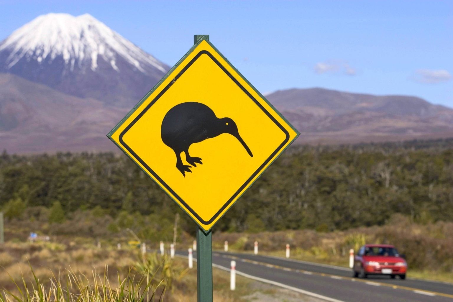 Achtung, Kiwi: In Neuseeland fahren die Einwohner traditionell auf der linken Straßenseite.