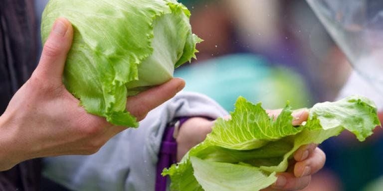 Eisberg-Salat auf einem Wochenmarkt