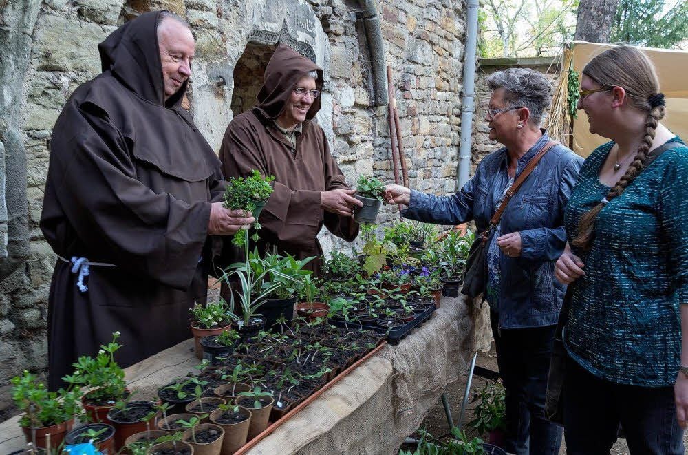 Rainer Urban und Jörg Winzer zeigen Ilona Gärtner aus Zöschen und Kim Ludwig aus Wallendorf (v.l.) Waldmeister und Zitronenmelisse.