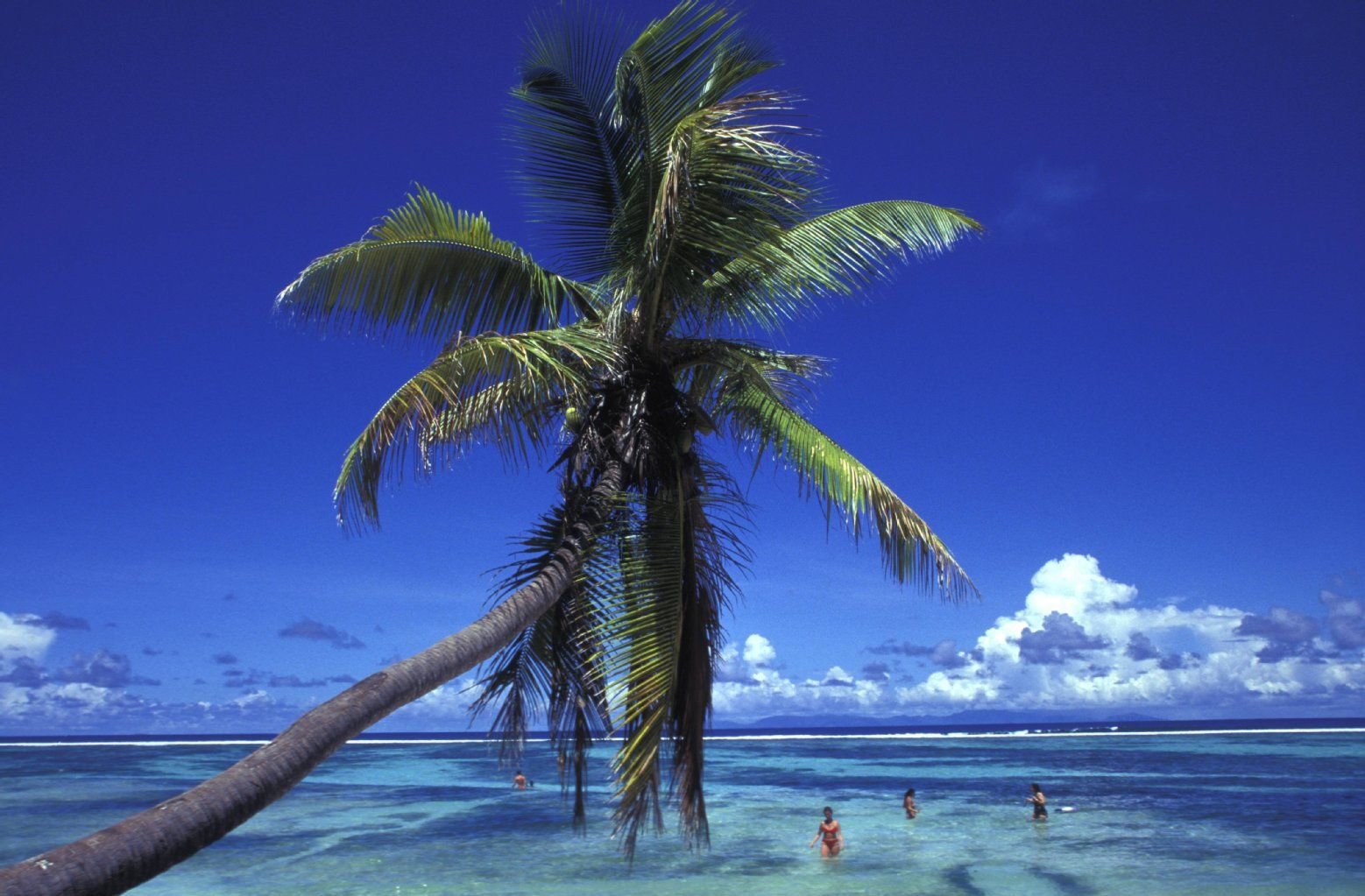 Die Wirtschaft der Seychellen hängt von Tourismus und Fischfang ab.