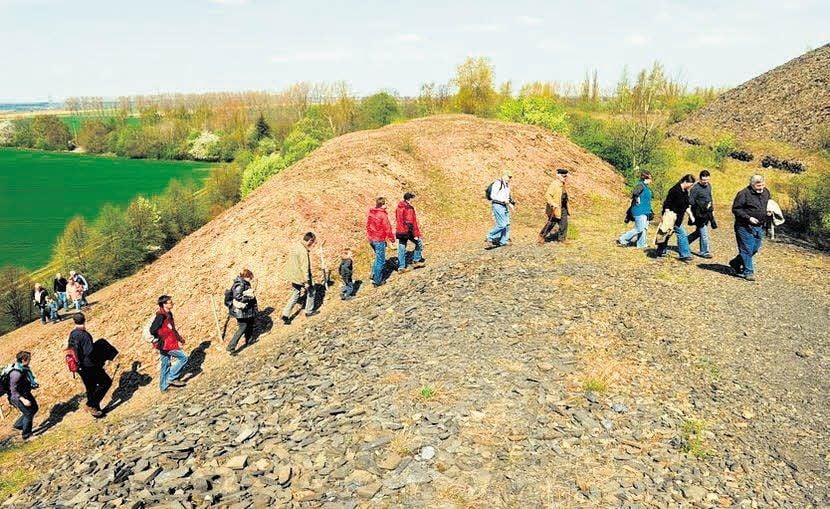 Über die Halde am Zirkelschacht geht es im Gänsemarsch