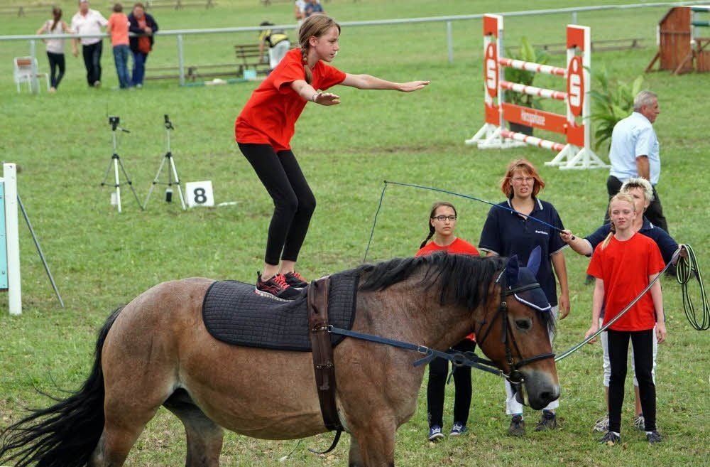 Unter Leitung von Simone Henne und Josefine Wunsch zeigten die jüngsten Vereinsmitglieder ihr Können beim Voltigieren.
