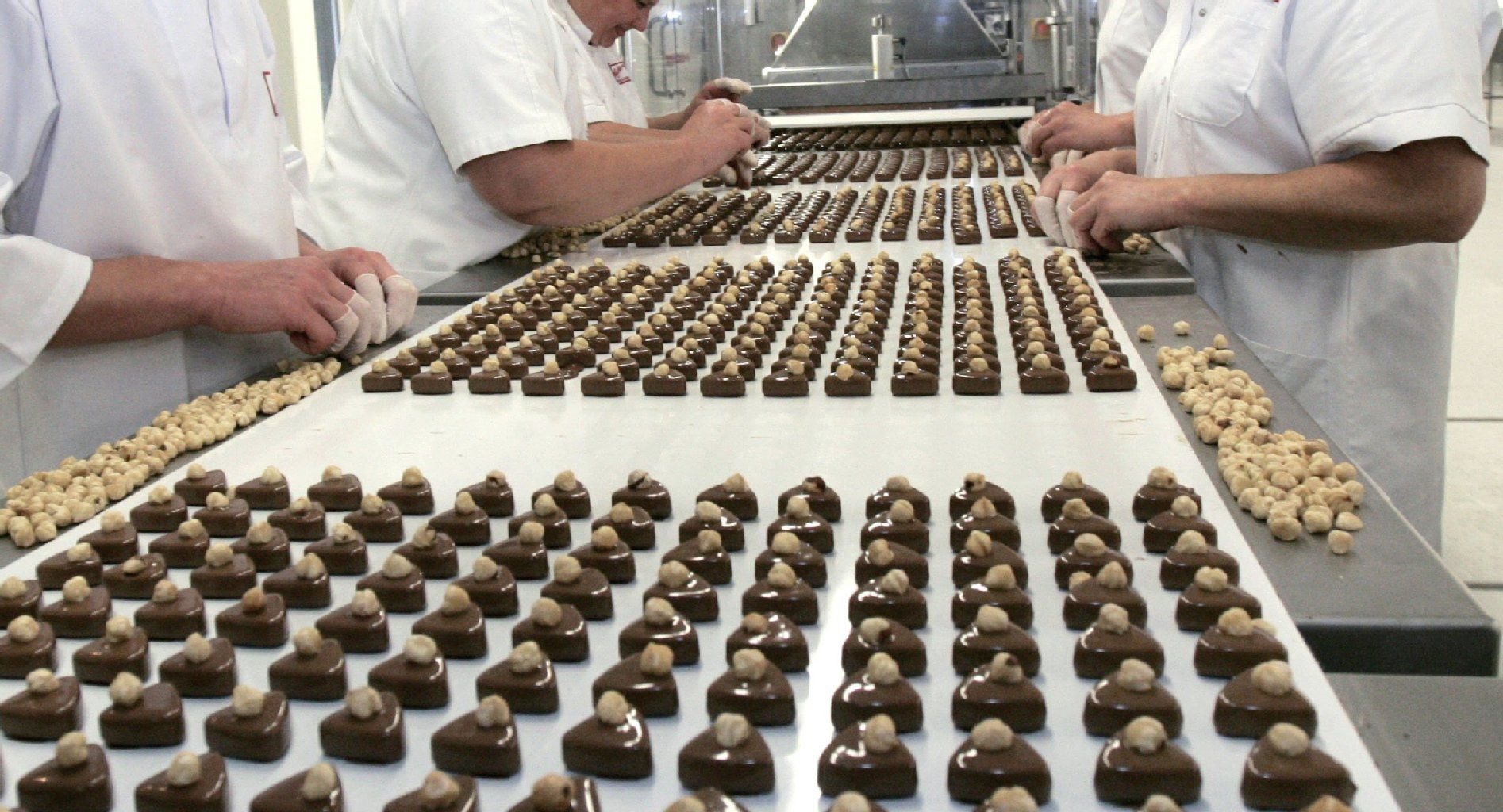 Mitarbeiter der Halloren-Schokoladenfabrik in Halle sortieren Pralinen.
