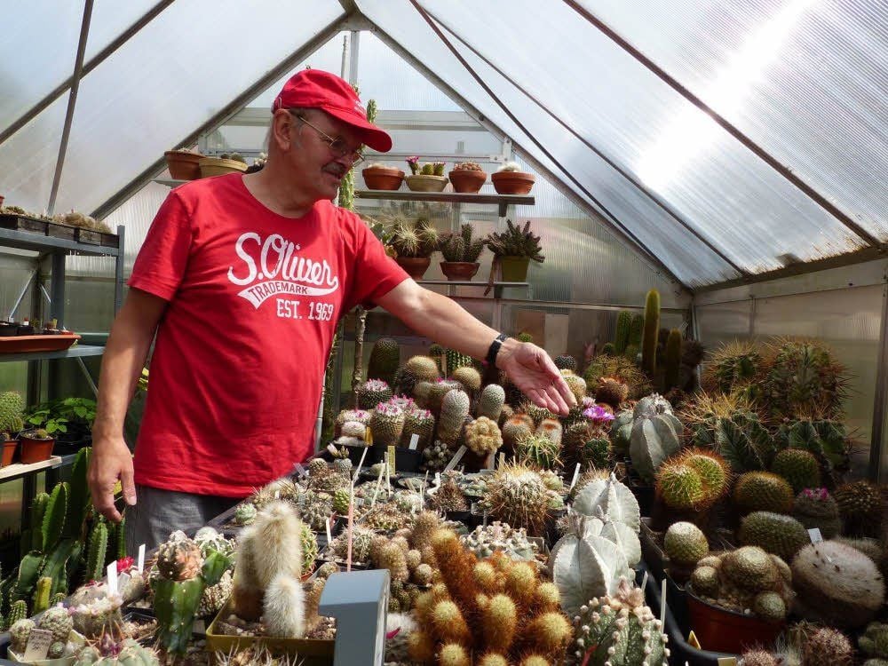 Ortsgruppenvorsitzender Jürgen Kracht inmitten seiner stachligen Pflanzen. Viele entfalten ihre Pracht erst mit der Blüte.