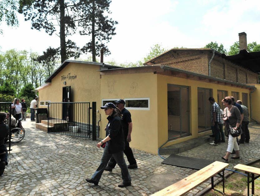 Besucher am Katzenhaus, dessen Ausläufe erneuert wurden.