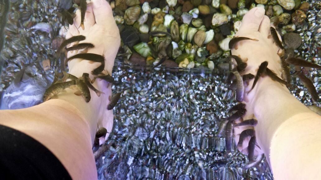 Gabriele Degen hat sich getraut: Sie berichtet über das Gefühl bei einer Fischpediküre.