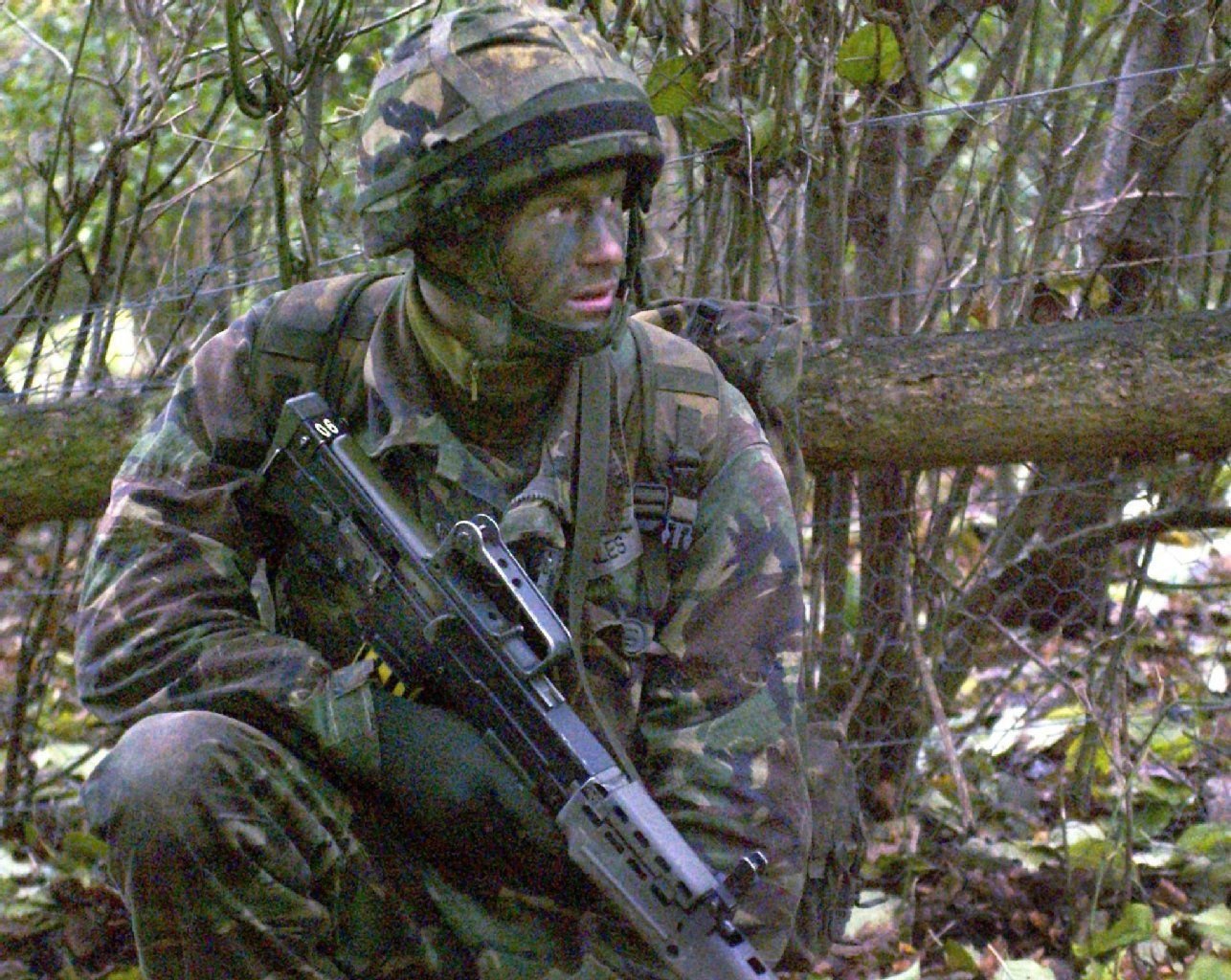 Mal nicht auf Büffeljagd: Getarnt hockt Prinz Harry während einer Militärübung in einem Wald in Großbritannien.