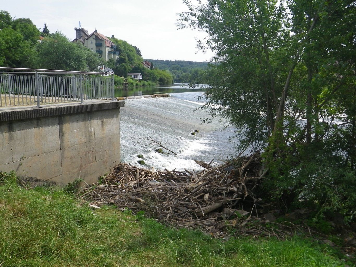 Der Wehrbereich in Bad Kösen