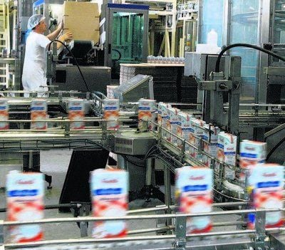 Viele Milchbauern der Region liefern an Frischli in Weißenfels.