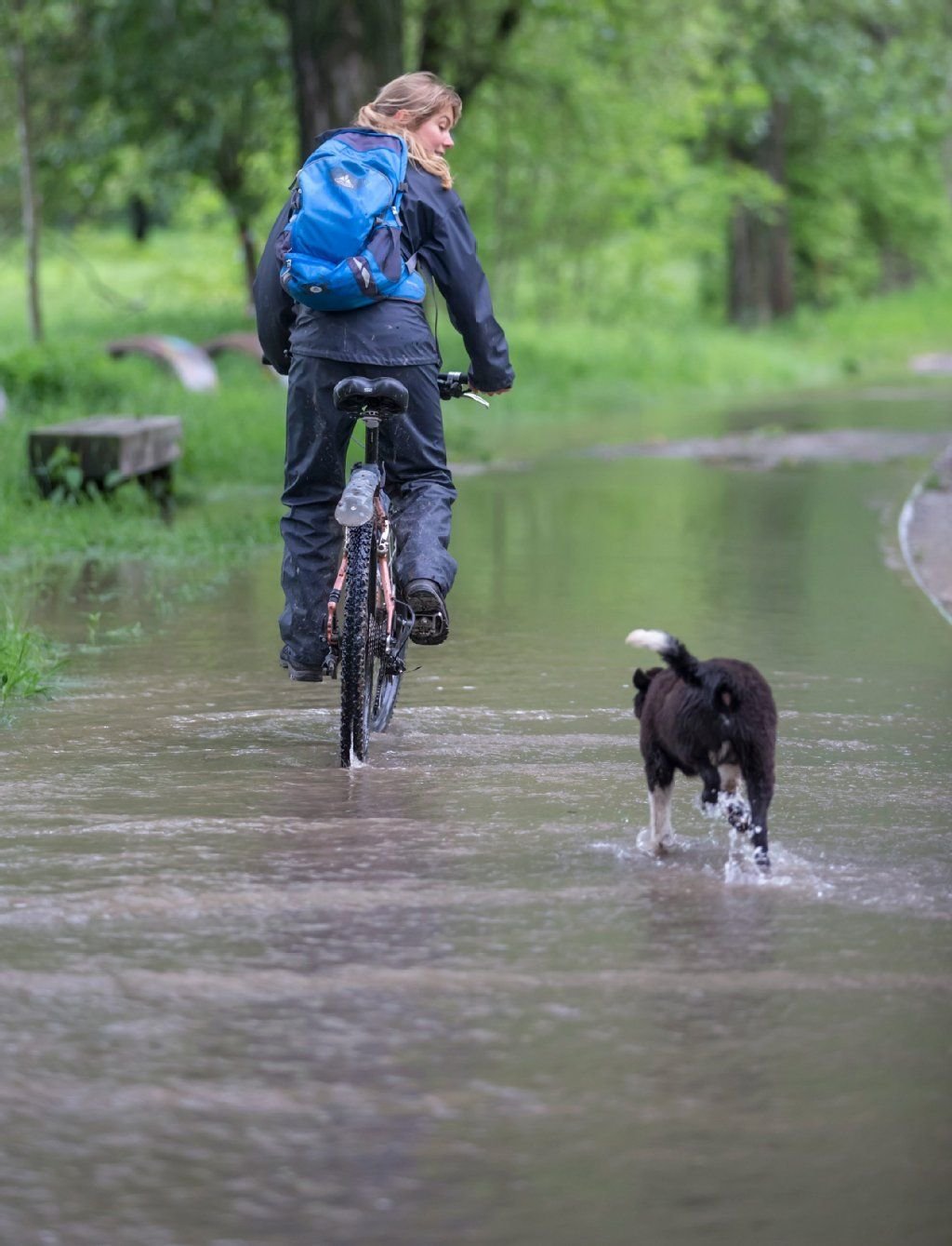 Eine Radfahrerin fährt am Montag in Taubach (Thüringen) auf einem Radweg, über den das Wasser der über die Ufer getretenen Ilm fließt. Die Pegelstände haben sich bis Dienstag wieder entspannt.