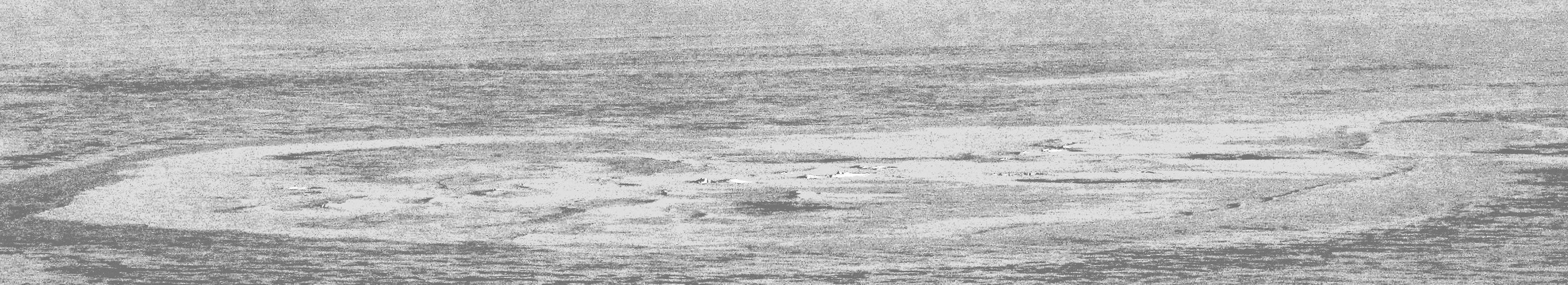 Ein Foto mit stark erhöhtem Kontrast zeigt eine ringförmige Bruchstruktur im Schelfeis der Antarktis. Möglicherweise stammt der gigantischen Eiskrater vom Einschlag eines außerirdischen Körpers.