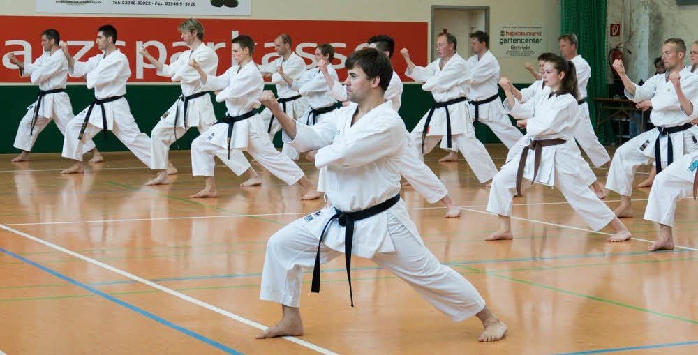 Seit Beginn des Karatetrainings in Ballenstedt gehören die jährlichen überregionalen Intensiv-Lehrgänge mit dem Kaiserslauterer Landestrainer Marcus Gutzmer (vorn) zu den Höhepunkten im Vereinsleben des Yamakawa Karate-Do.
