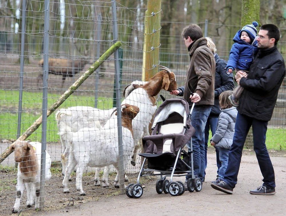 Der Martzschpark ist für viele Familien ein beliebtes Ausflugsziel.