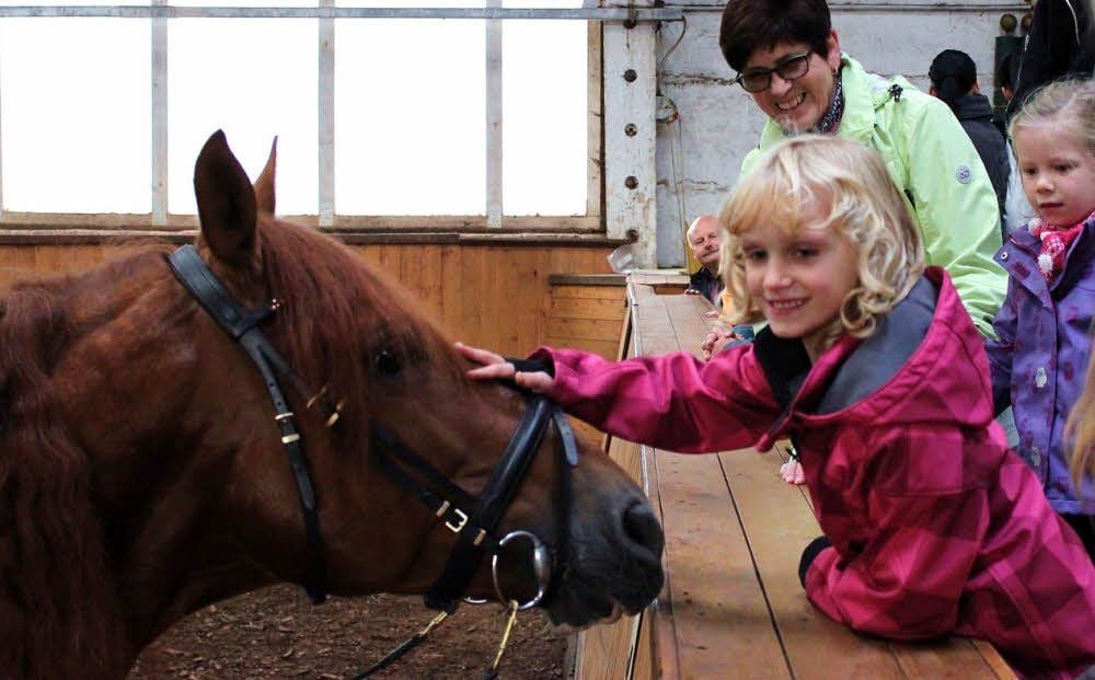 Einmal die weichen Nüstern des spanischen Hengstes berühren: Für Lisa aus Quedlinburg war das auf dem Gut in Drebsdorf nun Wirklichkeit statt Traum.
