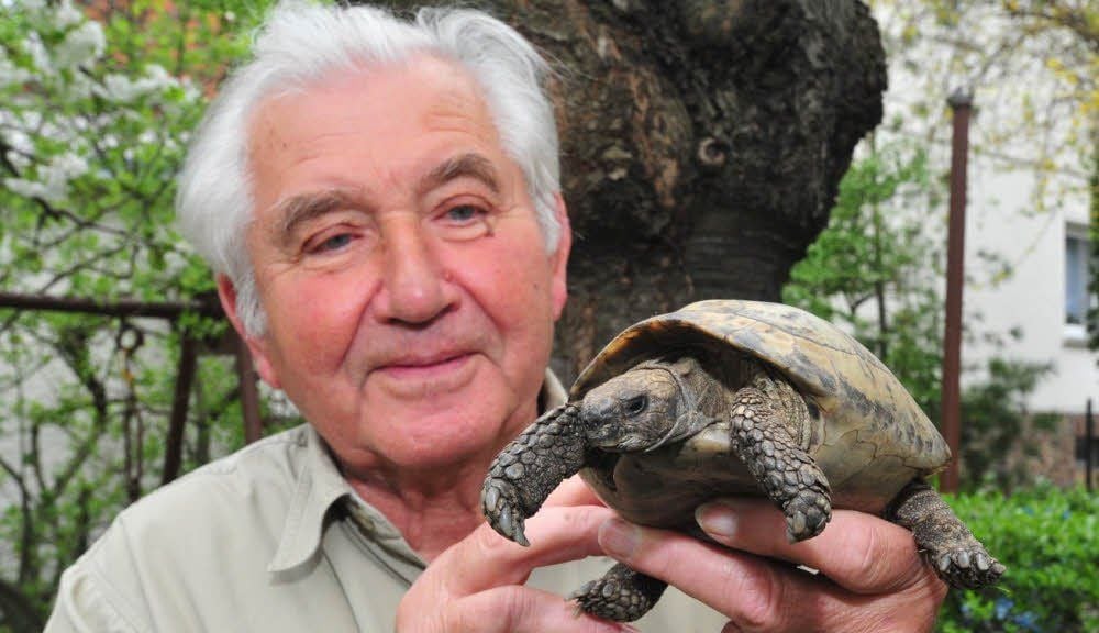 Hans Köhler hält sein Philinchen vorsichtig in der Hand. Die Schildkröte ist ihm in den sieben Jahrzehnten ans Herz gewachsen.