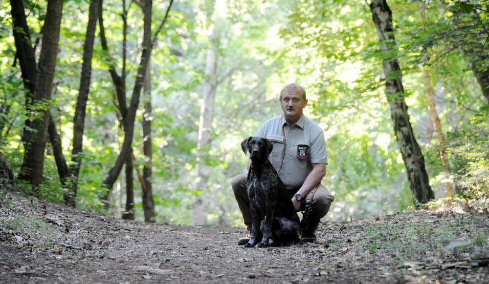 Revierförster Torsten Nieth hat im Wald stets seinen Deutschen Drahthaar Annie dabei.