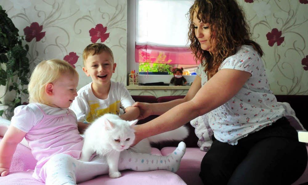 Weil die Familie Taudte schon zu viele Katzen verloren hat, holten sie sich nun den schneeweißen Findus, einen wirklichen Stubentiger.
