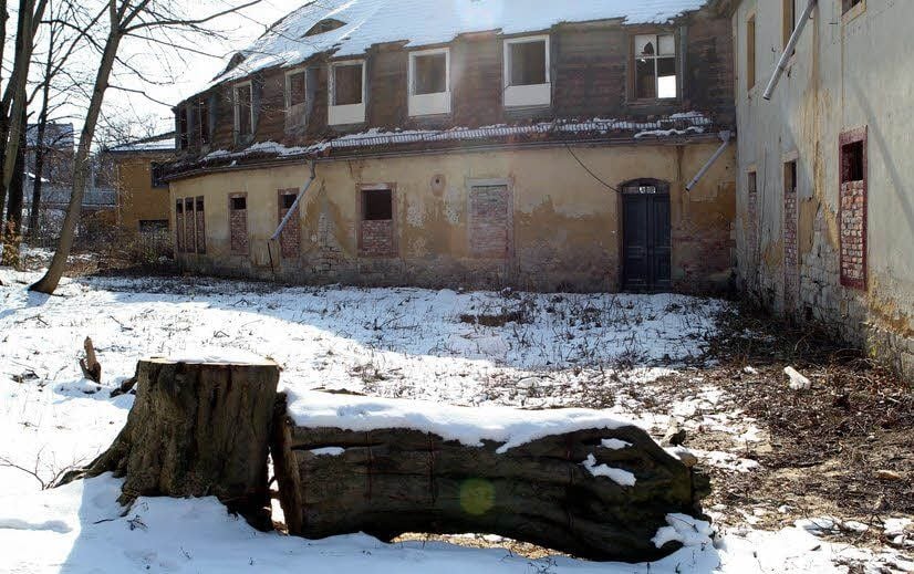 Dieser marode Baum wurde zur Gefahr für die Orangerie.