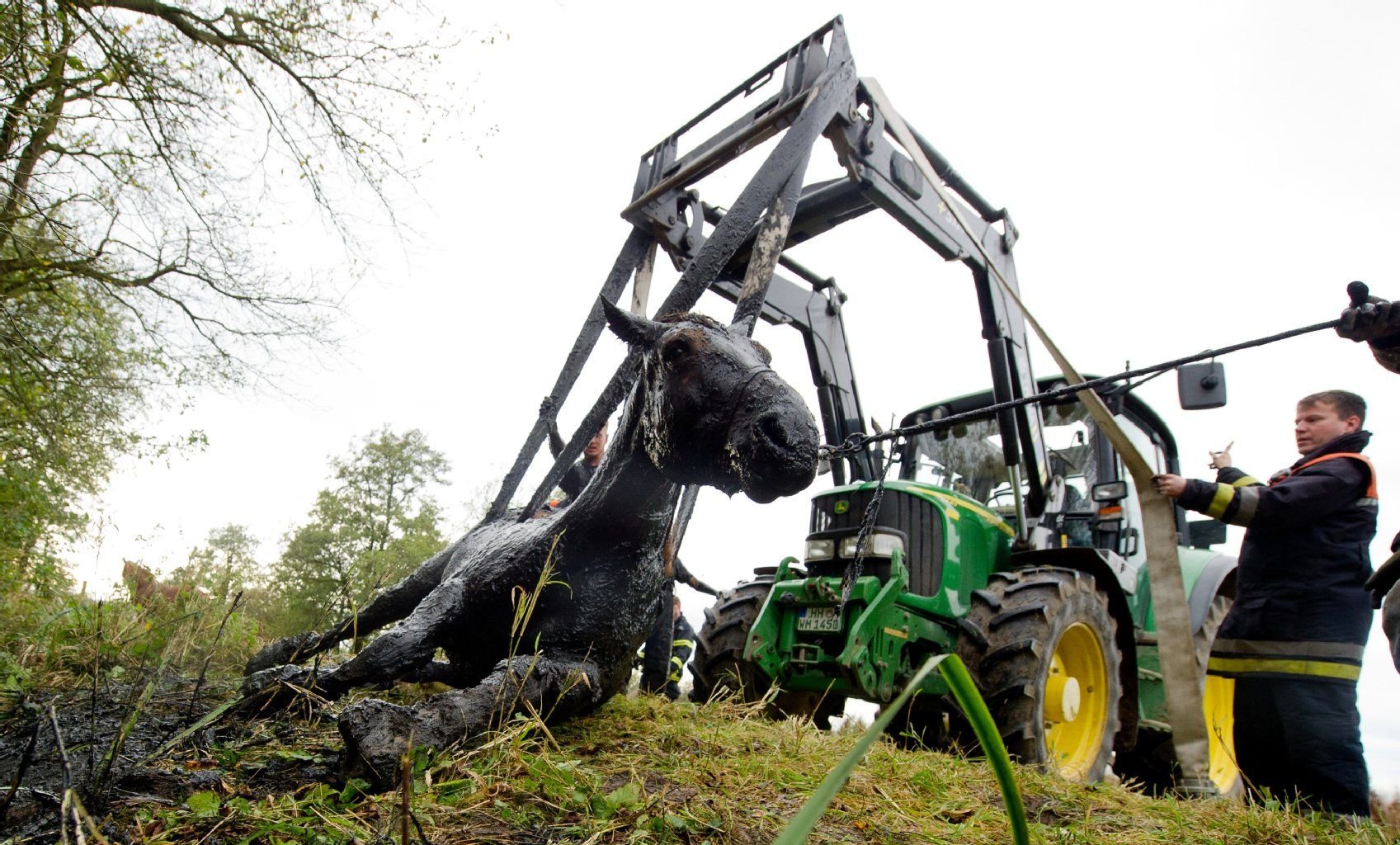 Ein Traktor war nötig, um die Stute aus dem Graben ziehen zu können.
