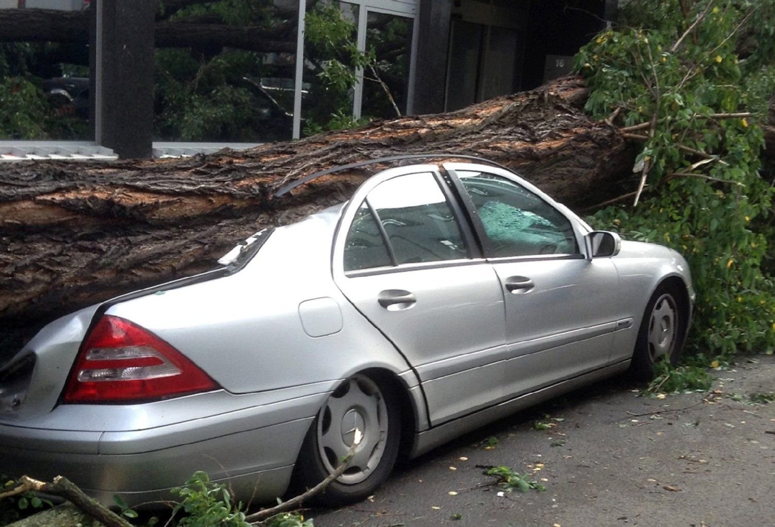 Düsseldorf wurde vom Unwetter besonders hart getroffen. Dieses Auto wurde unter einem Baum begraben. Meist zahlt die Versicherung den Schaden.