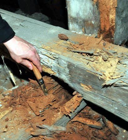Überall ist morsches Holz.