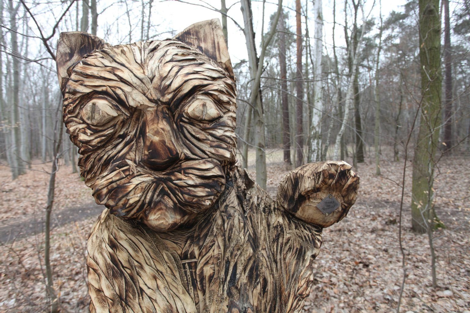 Der „Waldkater“ steht bereits.