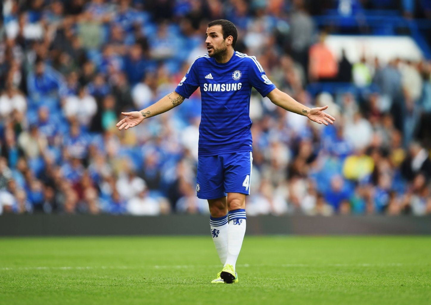 Chelsea-Spielmacher Cesc Fabregas