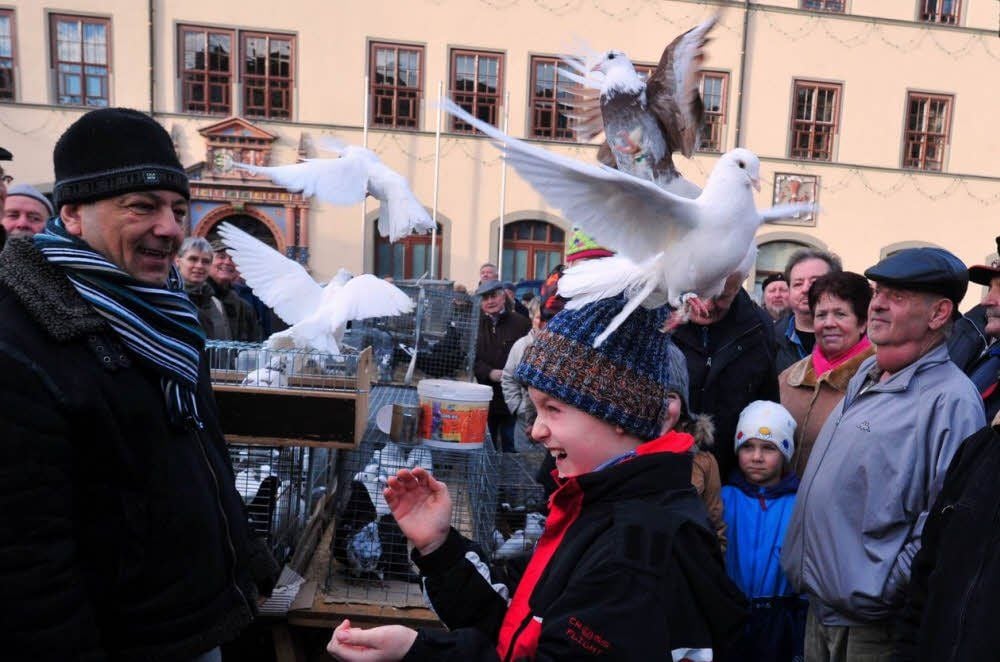 Ein Anziehungspunkt ist der Stand von Sebastian Raca, der seine Tauben auch mal fliegen lässt.