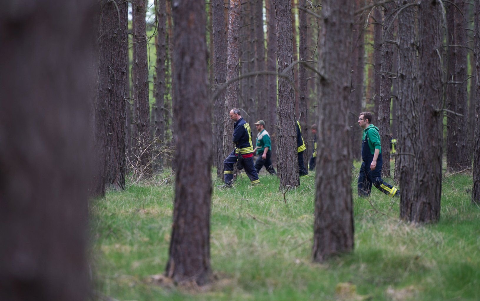 Einsatzkräfte suchen in einem Waldgebiet bei Wilhelmshof, einem Ortsteil von Stendal, ein vermisstes Mädchen.