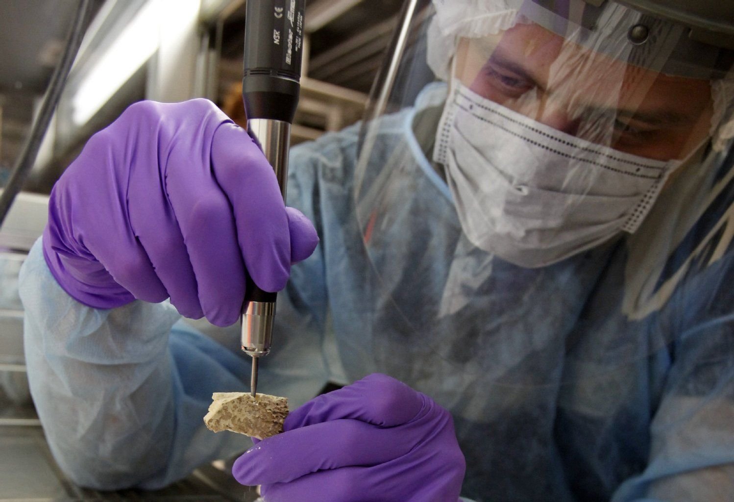 Mit ihren Forschungen wollen die Wissenschaftler der Frage nachgehen, ob und wie das Erbgut der Neandertaler von dem des modernen Menschen abweicht und welche genetischen Veränderungen zur Entwicklung des Homo sapiens geführt haben.