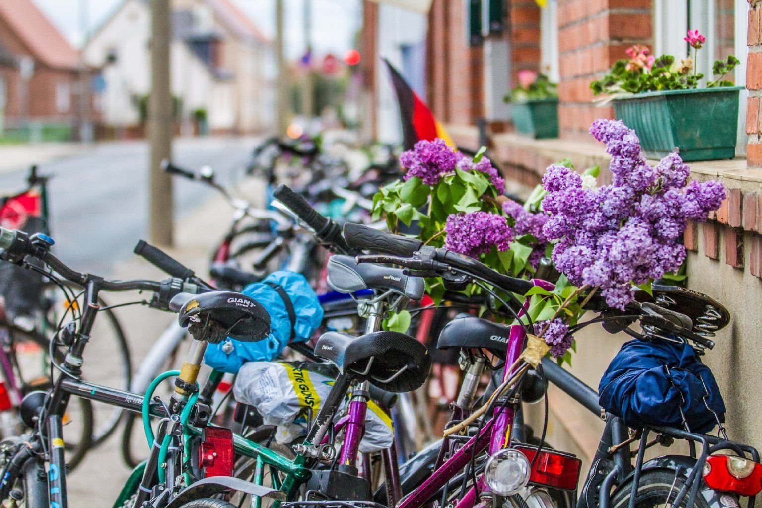 Geschmückte Fahrräder zum Männertag in Wittenberg