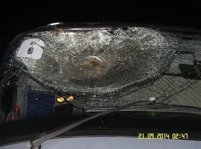 Eine Zuckerrübe traf die Frontscheibe eines Busses.