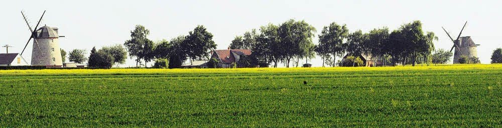 Das Windmühlen-Paar bei Ebersroda (nahe Mücheln) verwandelt dieses Landschaftsfoto in eine romantische Postkartenansicht. Die sogenannten Turmholländer sind ein häufiger Mühlentyp im Saalekreis und im südlichen Sachsen-Anhalt.