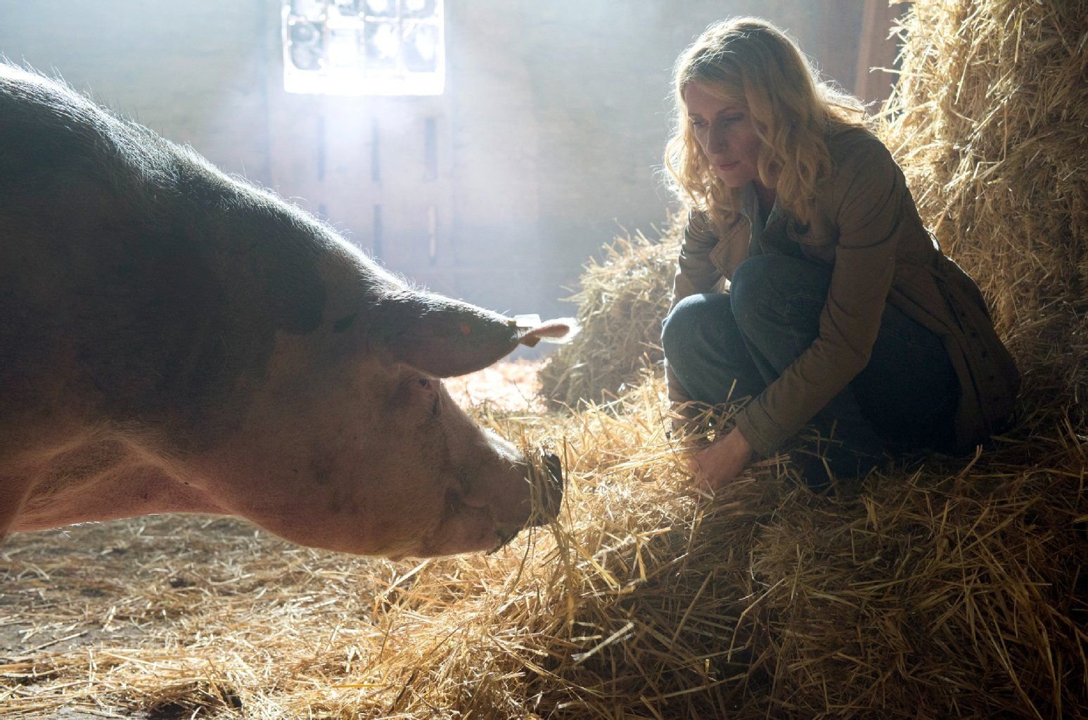 Charlotte Lindholm (Maria Furtwängler) im Schweinestall
